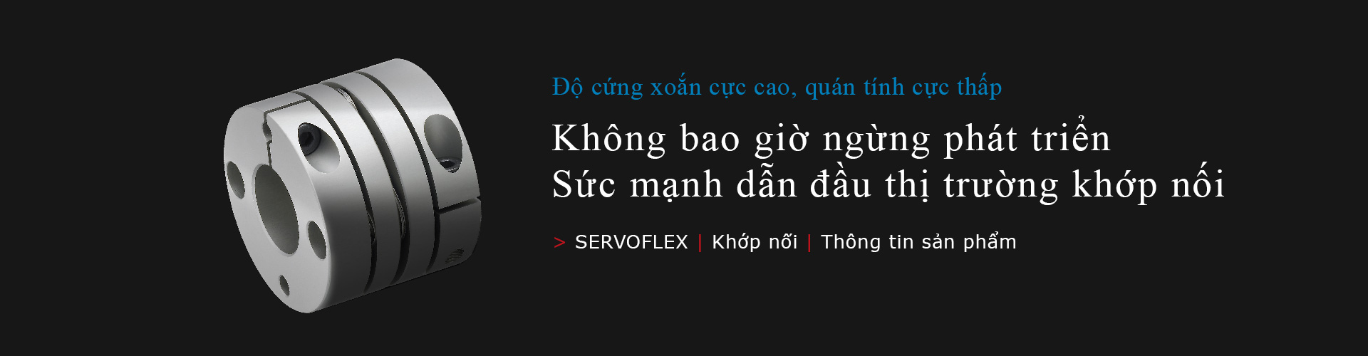 SERVOFLEX/Khớp nối 
