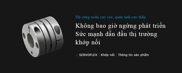 SERVOFLEX/Khớp nối